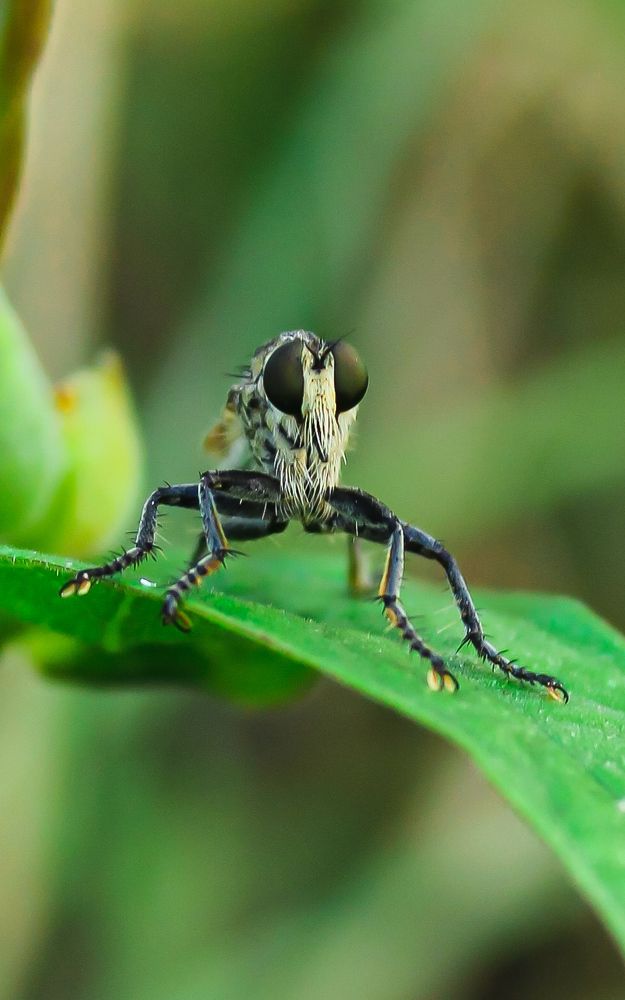 Photograph by Monoj Kumar Das