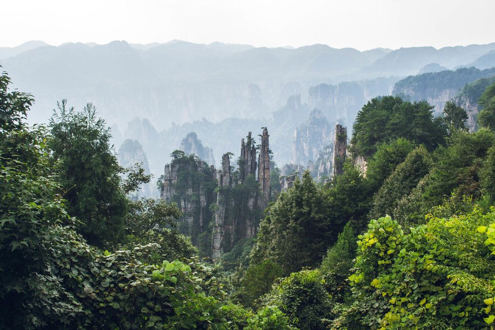 Photograph by Евгения Тарасова