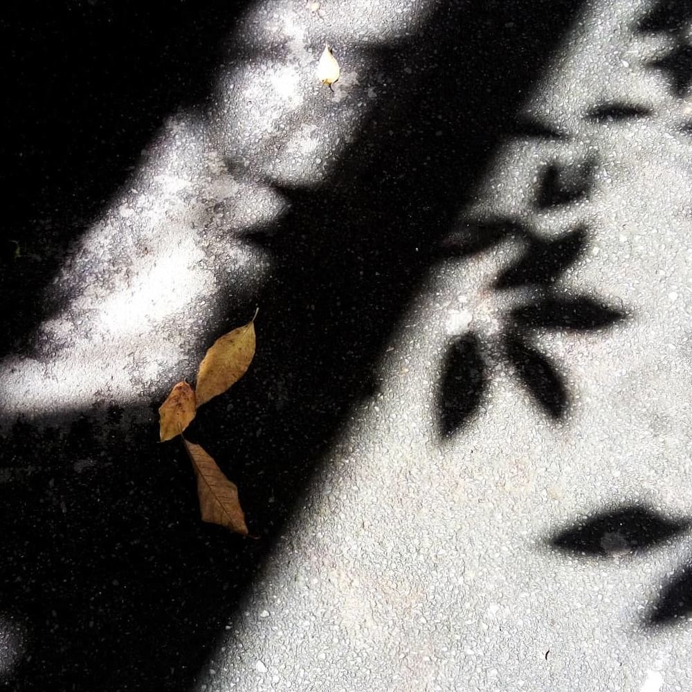 Photograph by Udhayakumar Saravanan