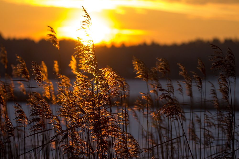 Photograph by Anna Suchcicka