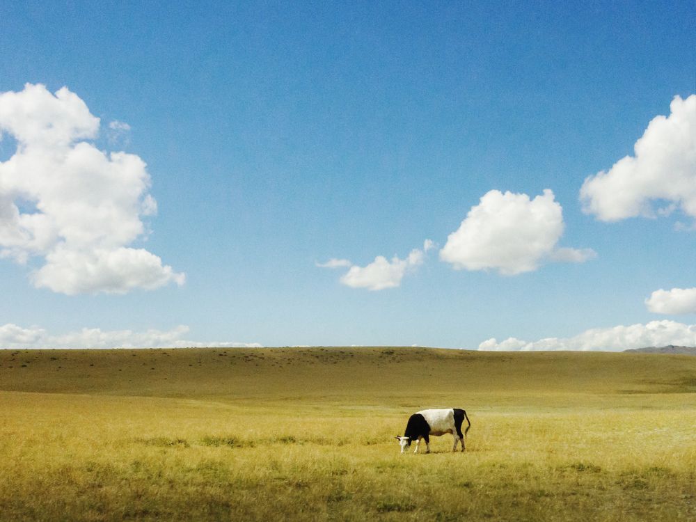 Photograph by Ольга Беккер