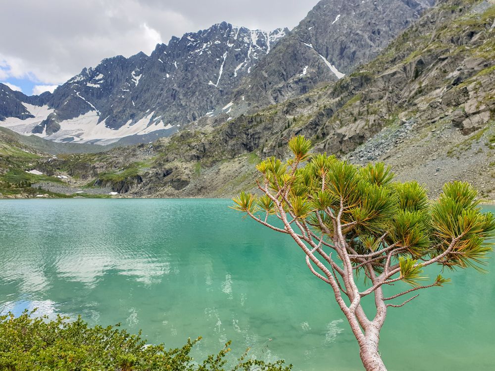 Photograph by Елена Димова