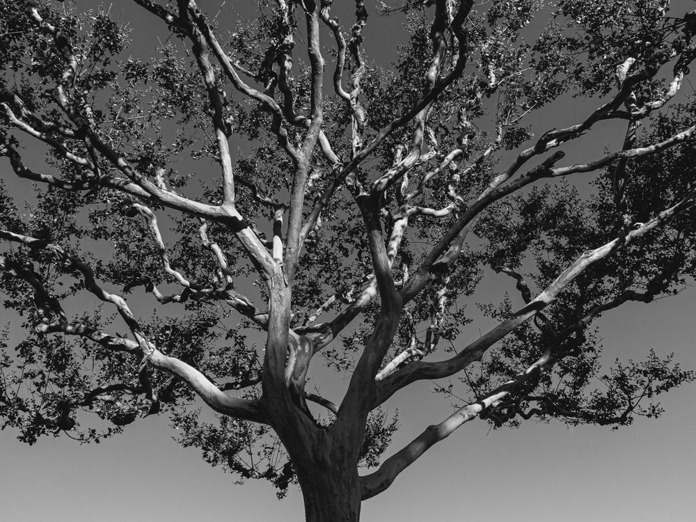 Photograph by Евгений Поляков