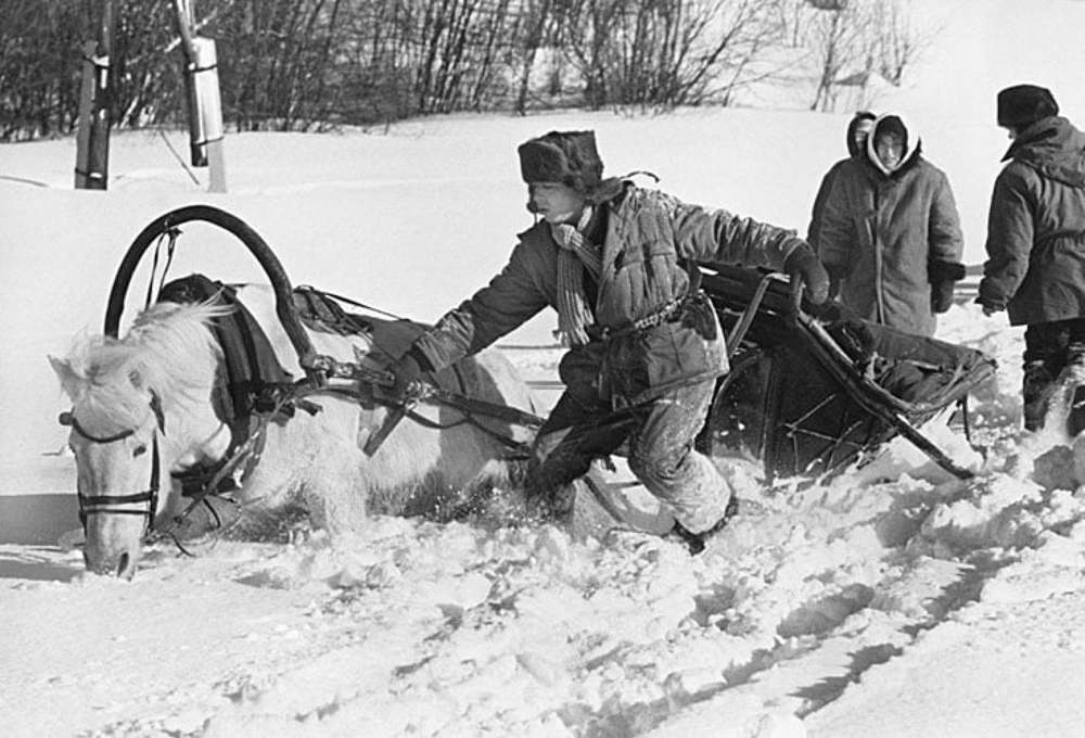 Photograph by Николай Цыплаков