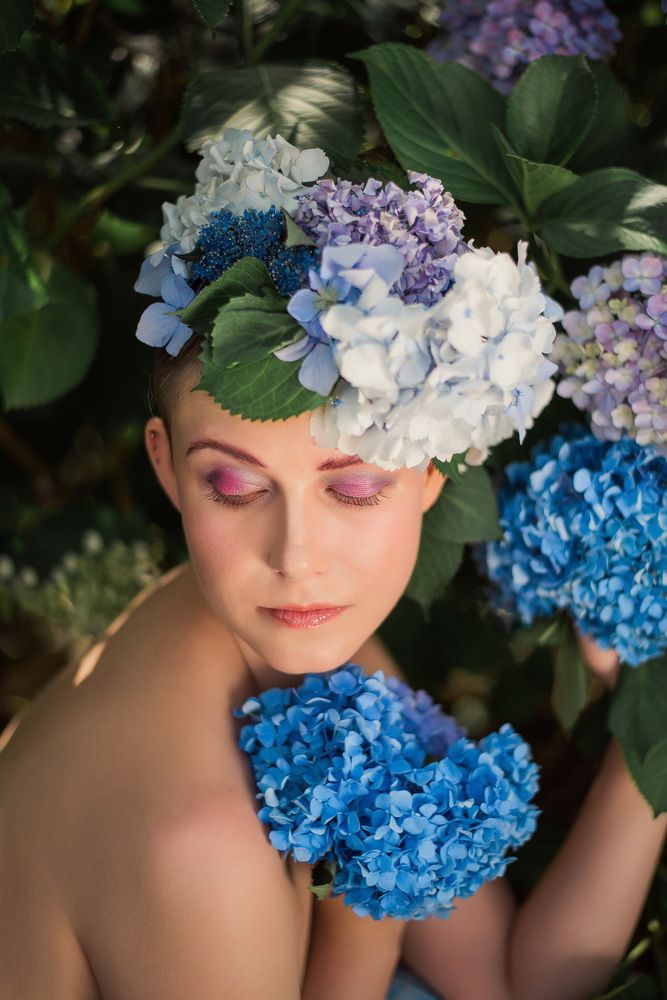 “Hydrangea Rain”