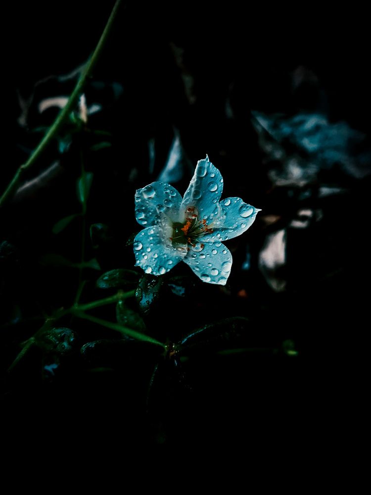 Innocence within darkness