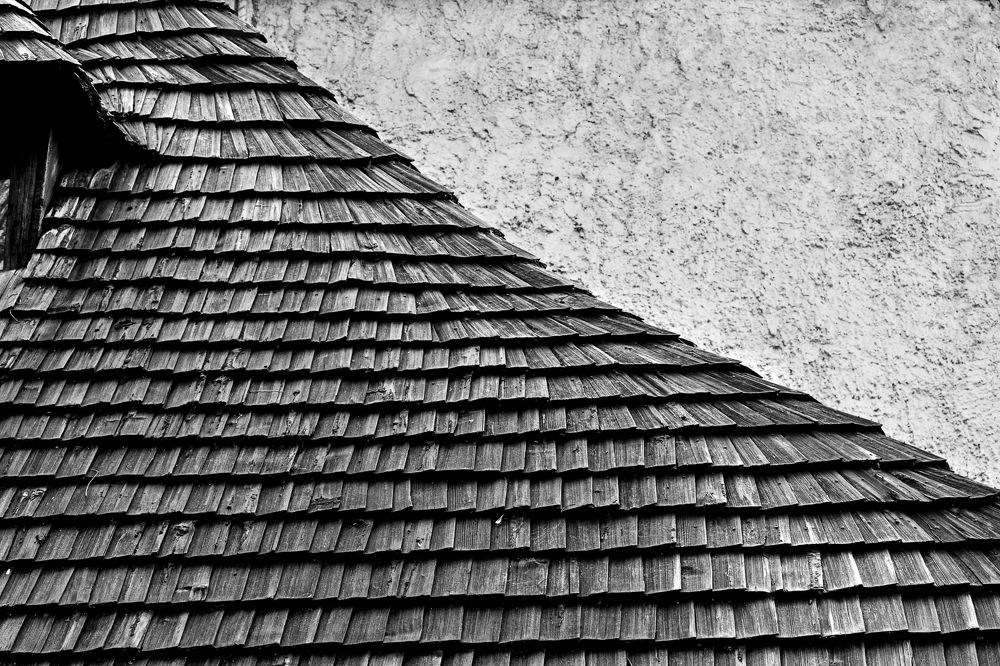 Photograph by Zsolt Noszkó