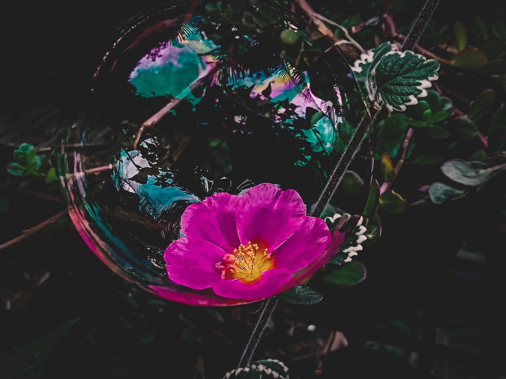 Photograph by Jenica Ruth Mamaril