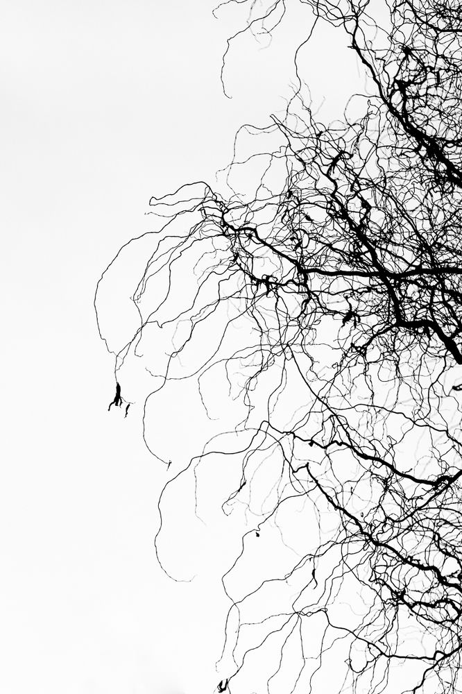 Photograph by Zsolt Noszkó