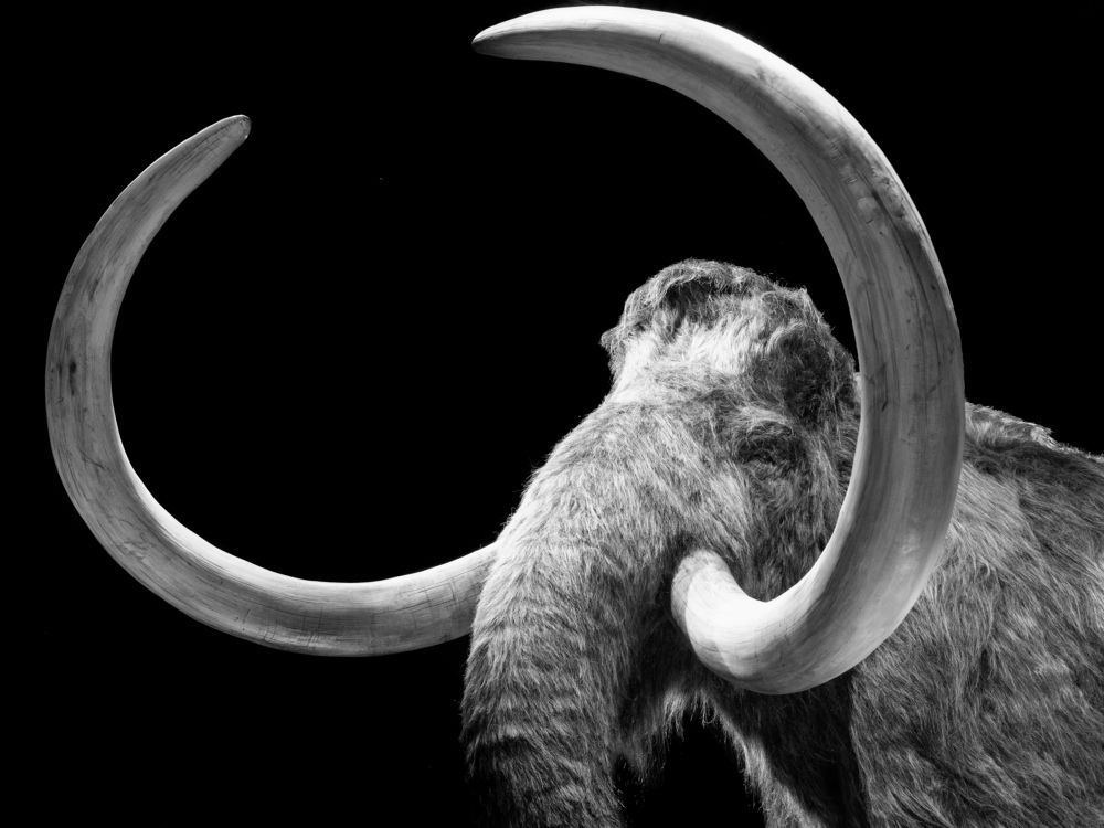 Photograph by Andrew Tri