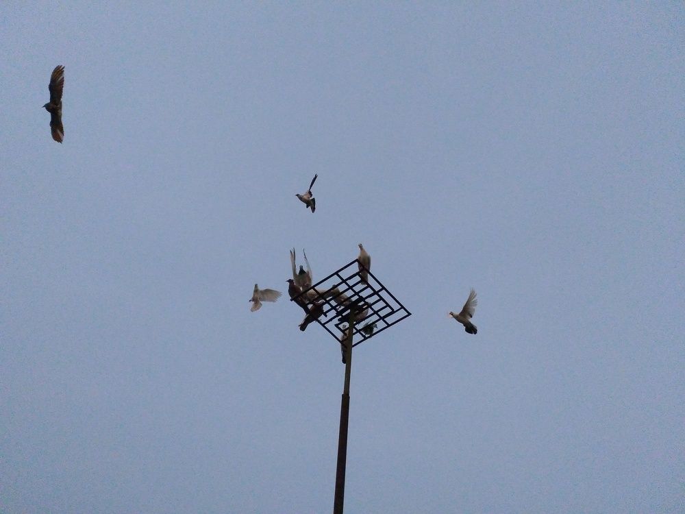 Photo #5722495