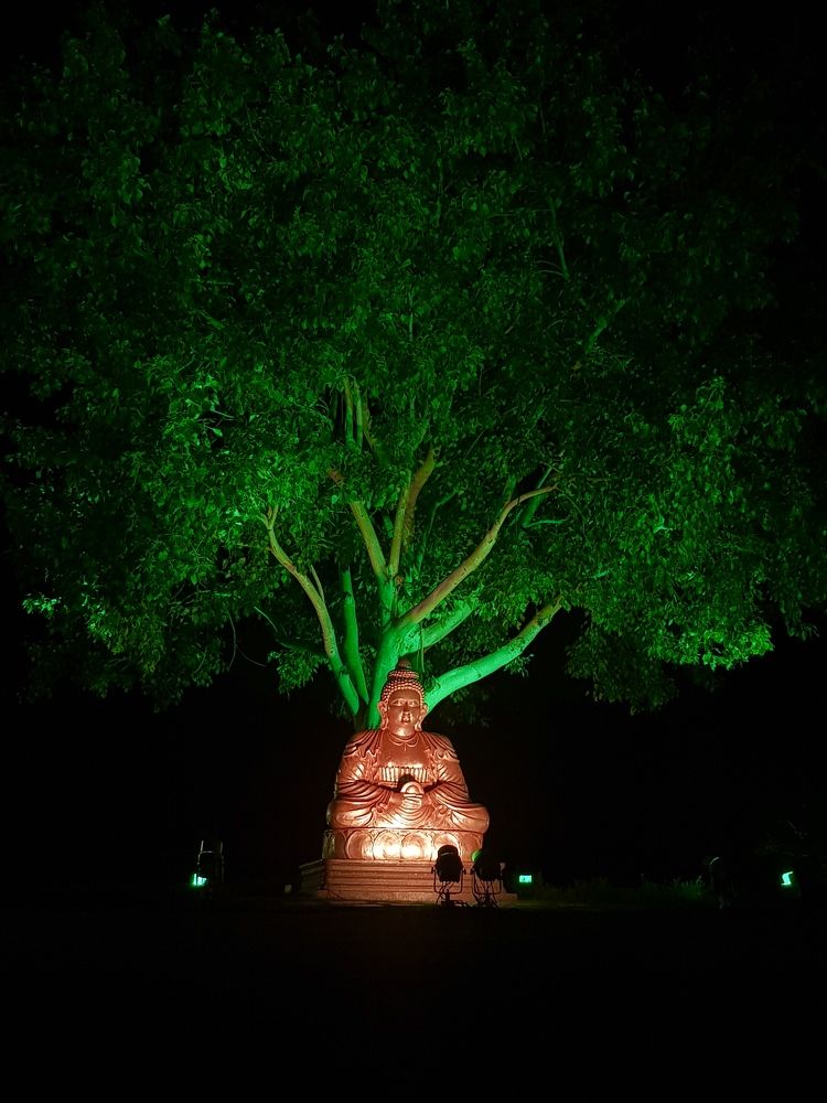 Positive vibes: Buddha ji