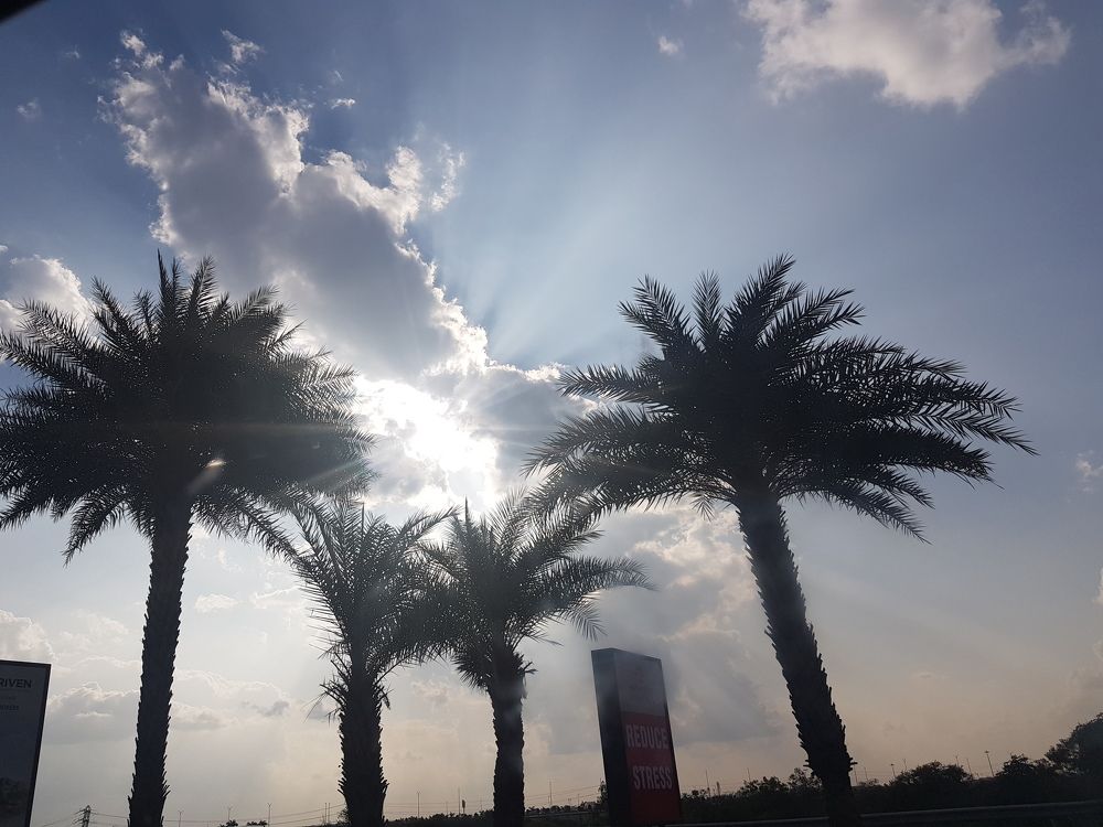Rising skies