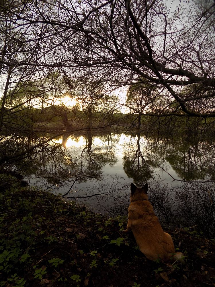 Photograph by Виктория Подрезова