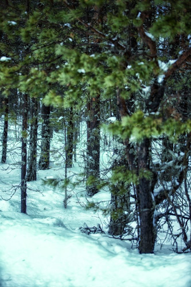 Photograph by Роман Дудкин