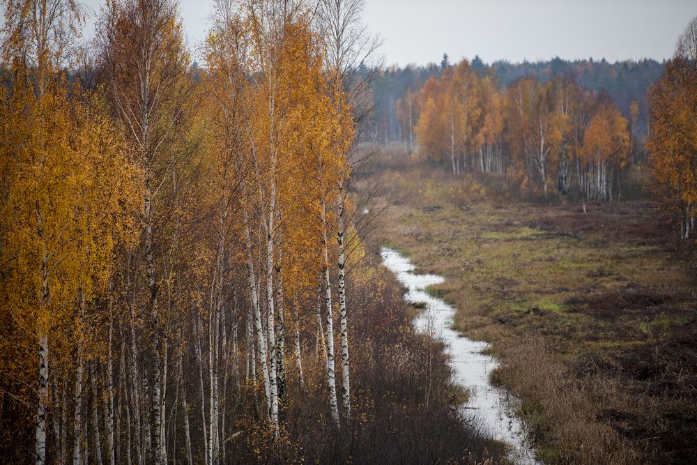 Photograph by Jelena Veršinina