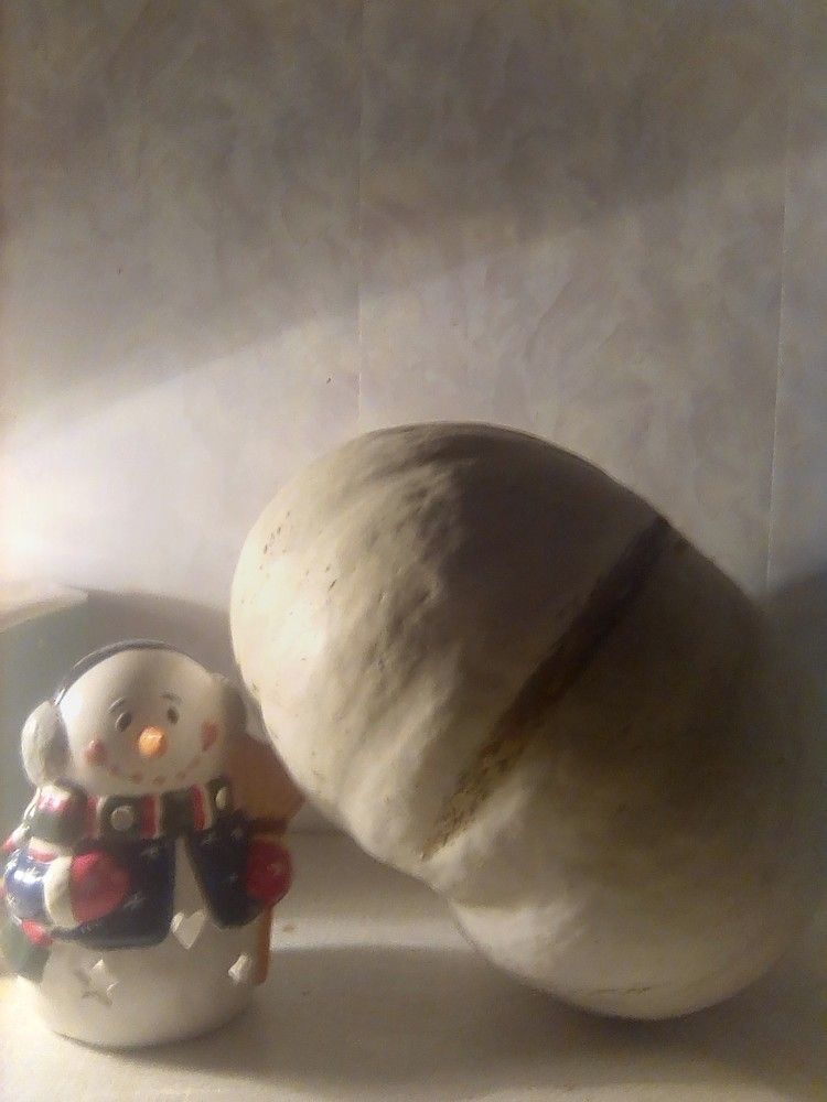 Photograph by Марта Васильева