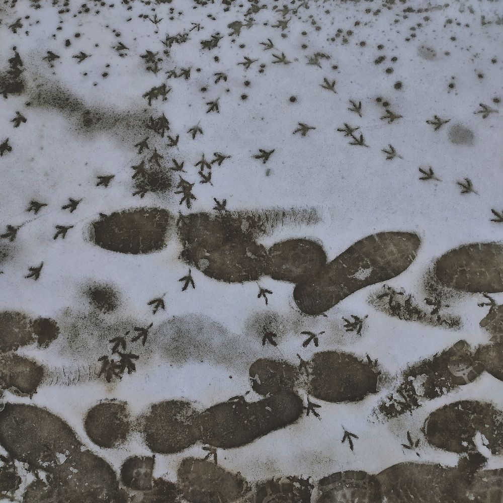 Photograph by Олеся Бухарова