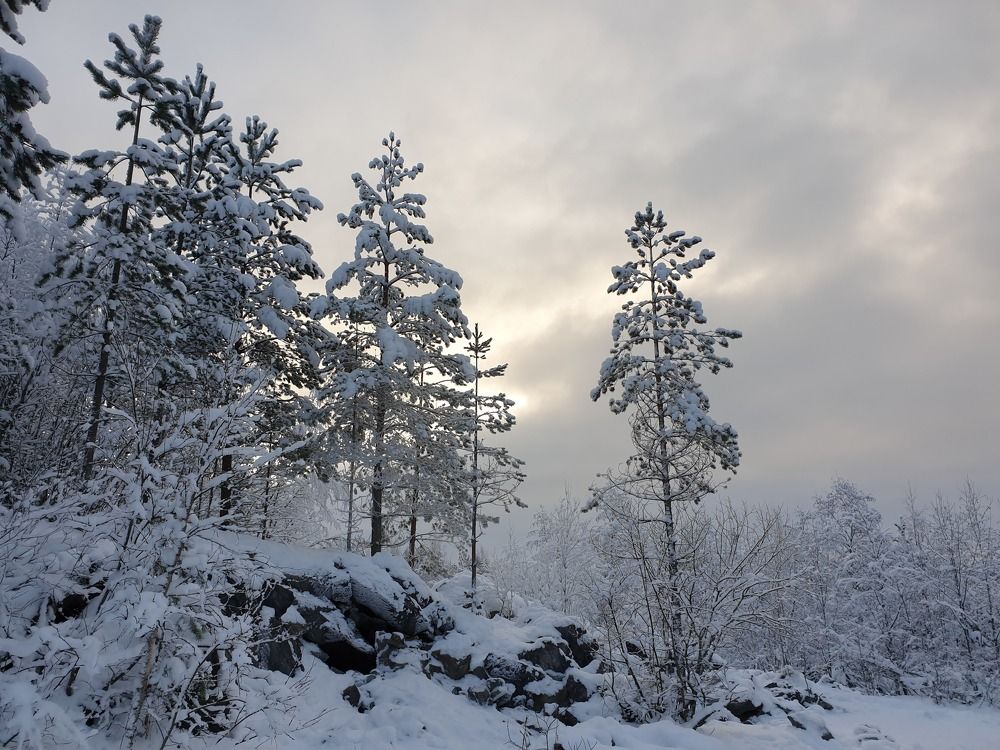 Photograph by Елена Димова