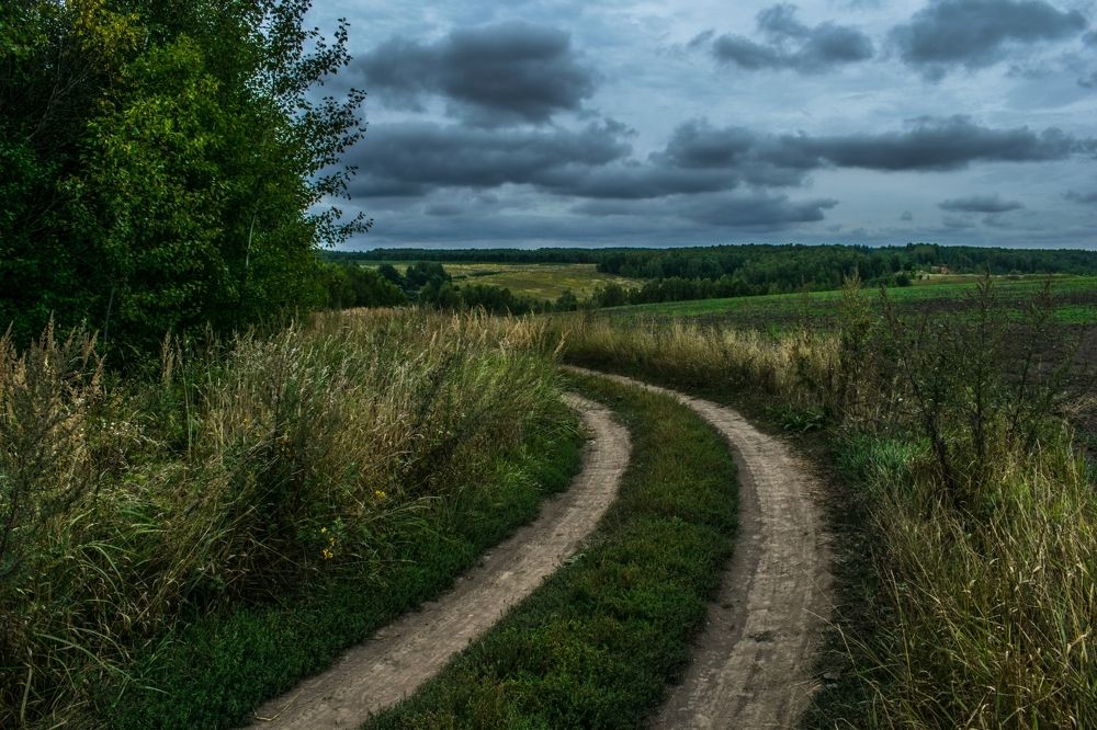 Просёлочная дорога.