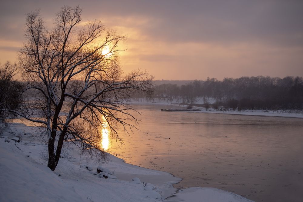 Photograph by Jelena Veršinina