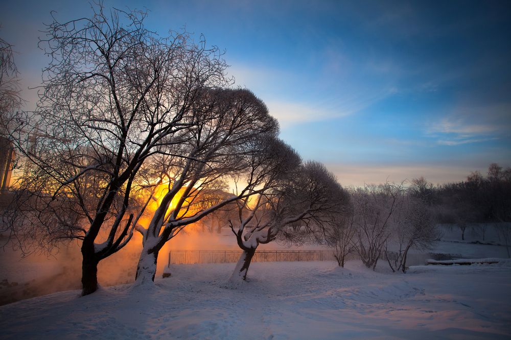 Photograph by 