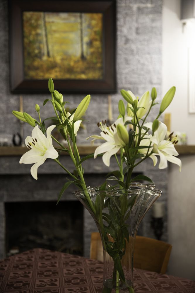 Photograph by MICHAEL SHVARTS