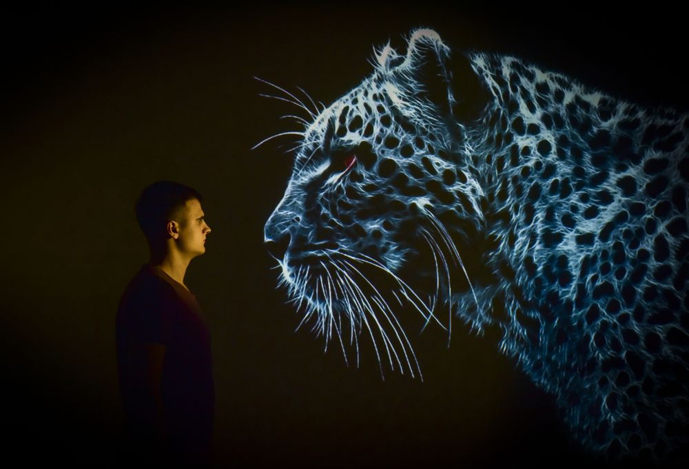 Photograph by Виктория Шумай