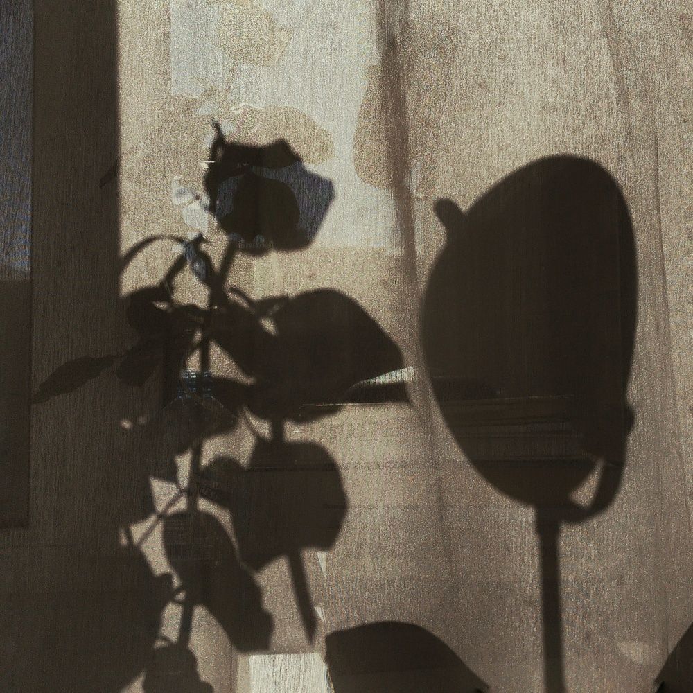 Photograph by Олеся Бухарова