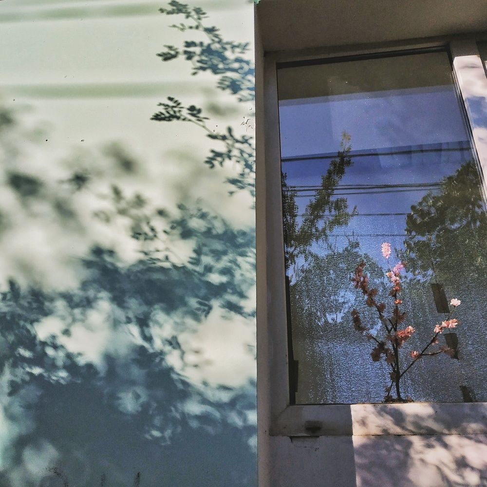 Photograph by Олеся Бухарова