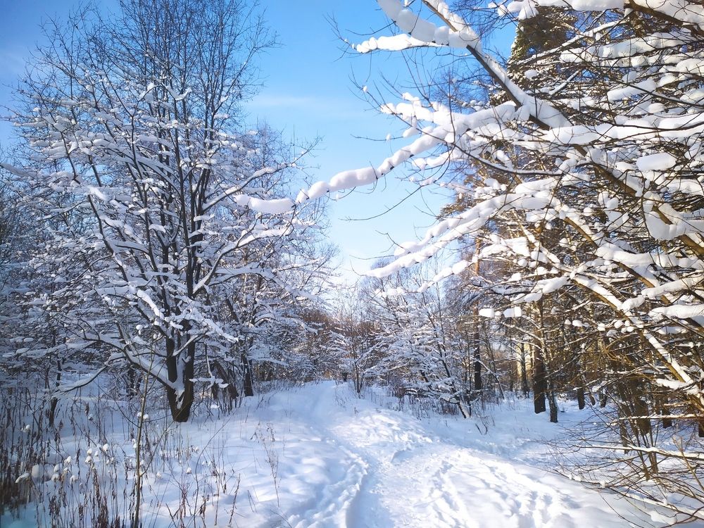 насыпь от старой железной дороги