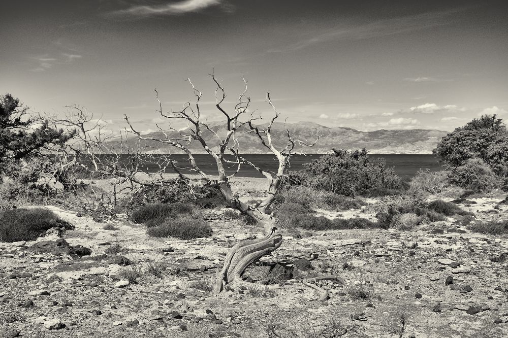 Photograph by Валерий