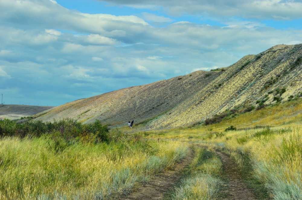 Соль-Илецкий пейзаж.