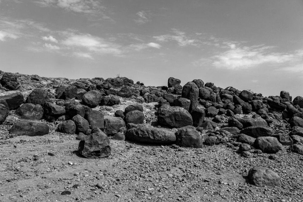 Photograph by Yogendra Singh