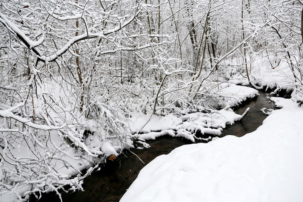 Photograph by Олег Елков