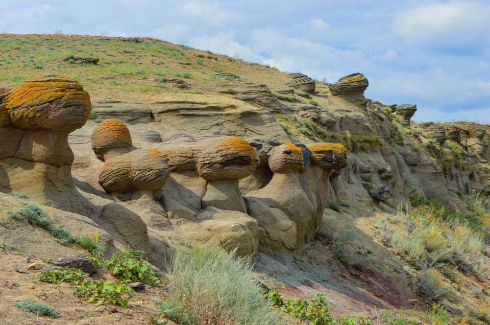 Букобайские яры.