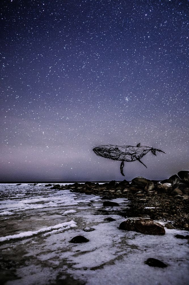 Photograph by Ольга Йонш