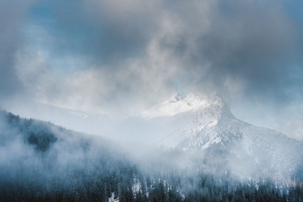 Photograph by Анатолий Кононов