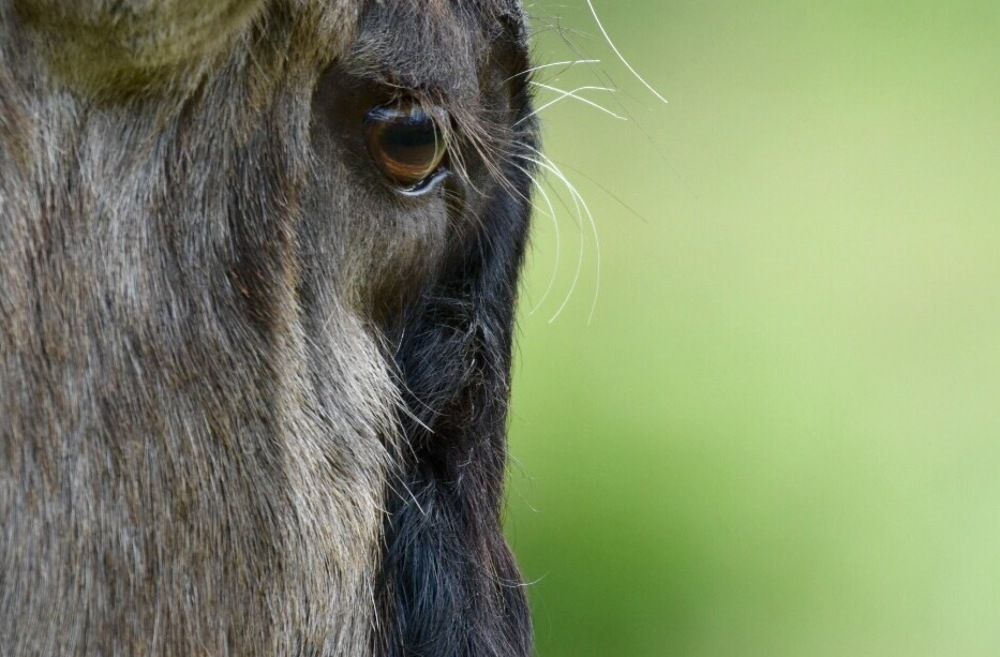 Photograph by Federico Genovese