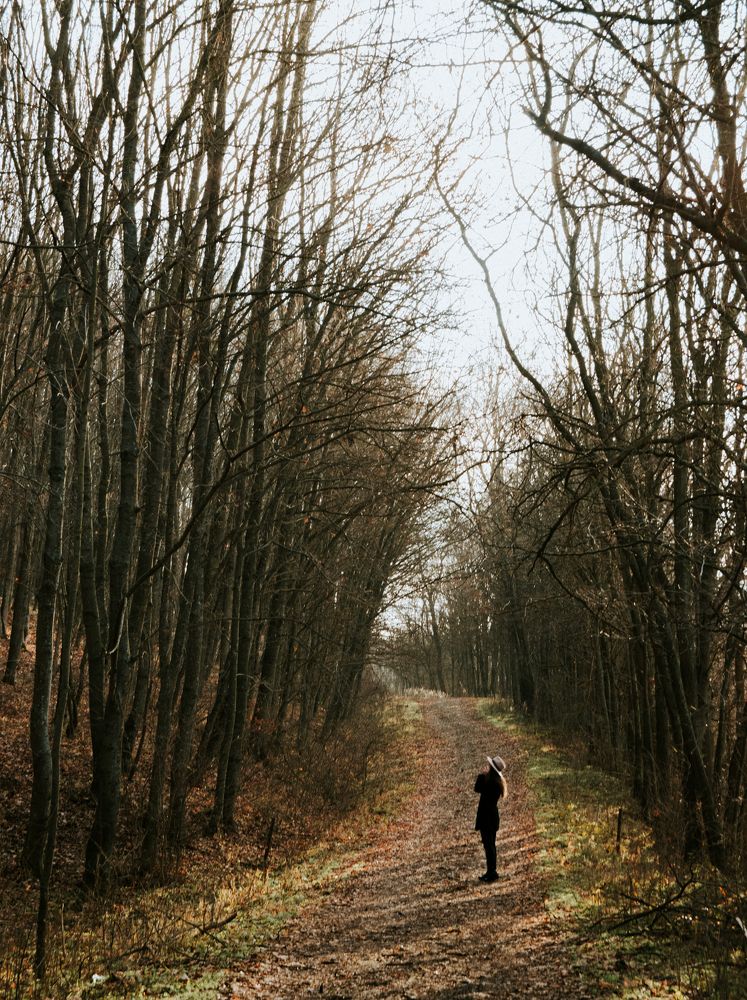 Фотография автора Alexandru-Gabriel Ursanu