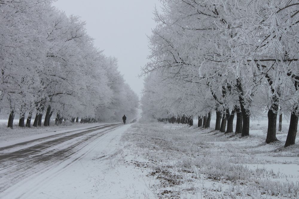 Фотография автора Юрий