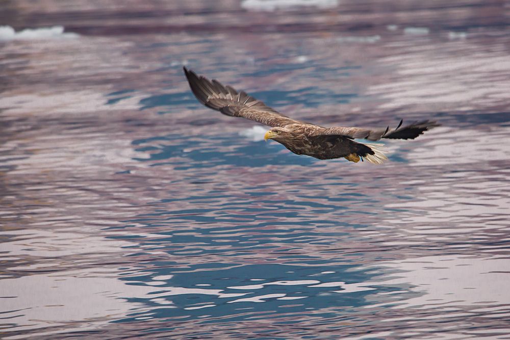 Photograph by Инна Корнеева