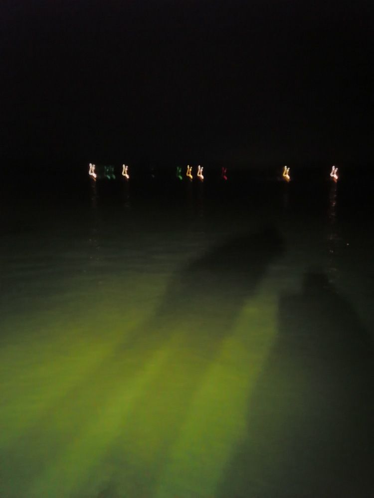 Photograph by Елена Аверьянова