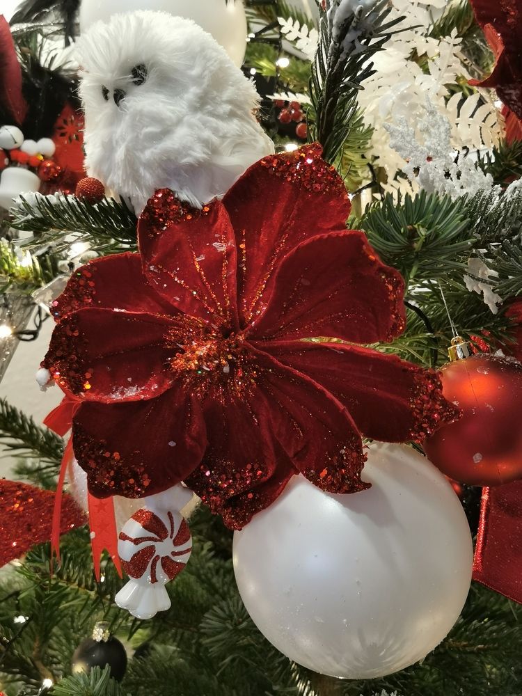 Photograph by Serban Remus