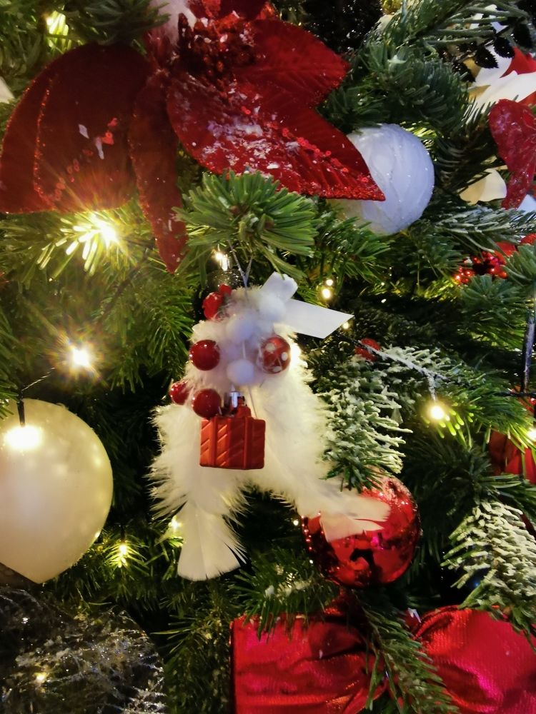 Photograph by Serban Remus