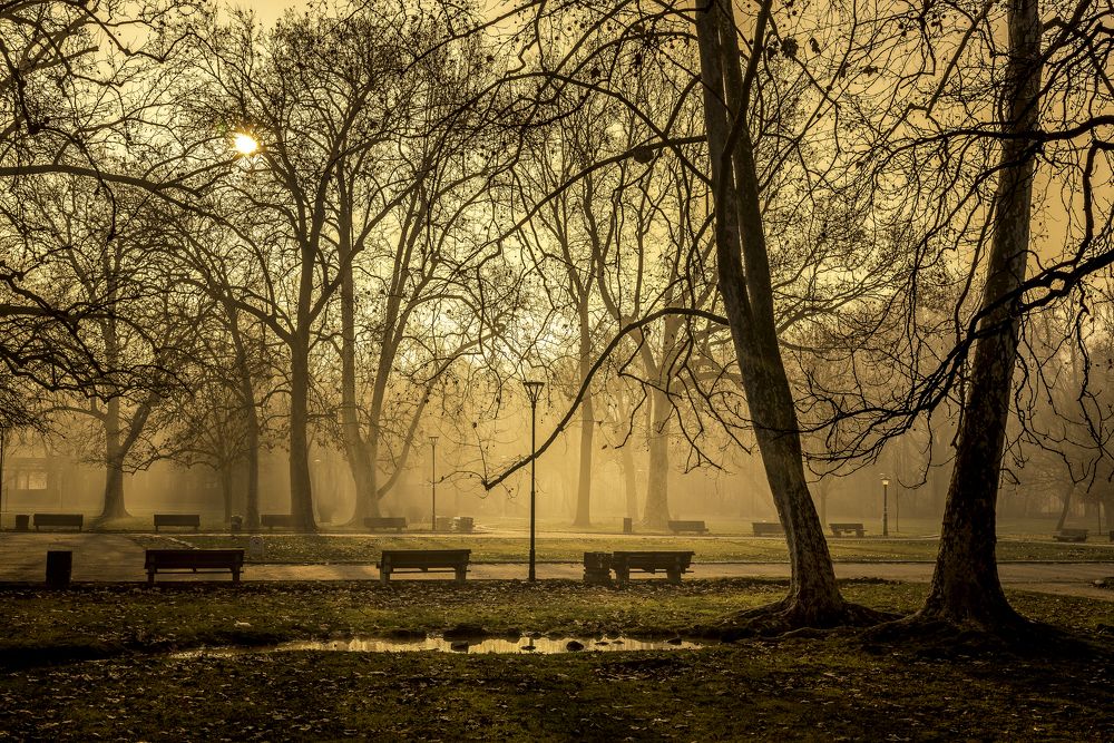 Photograph by Dragan Cerovic