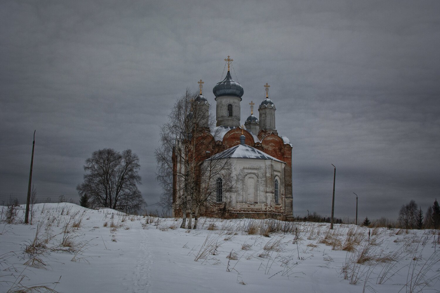 Photo #5723371