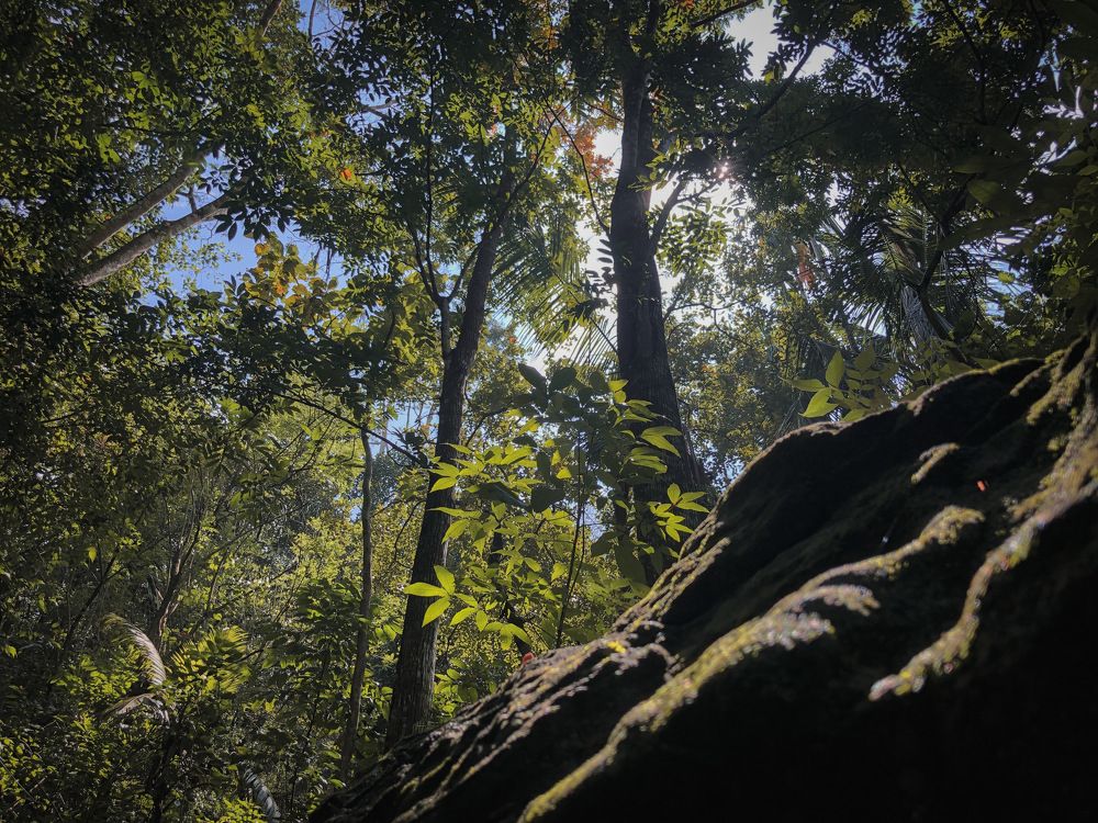 Thampana ~ Sri Lanka