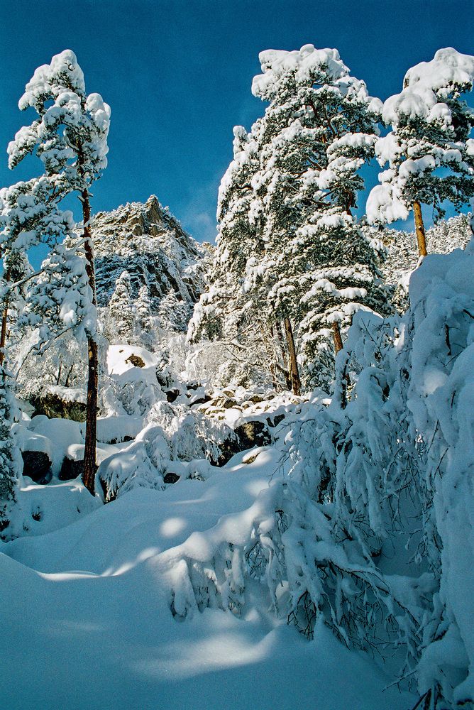 Photograph by Владимир Майоров