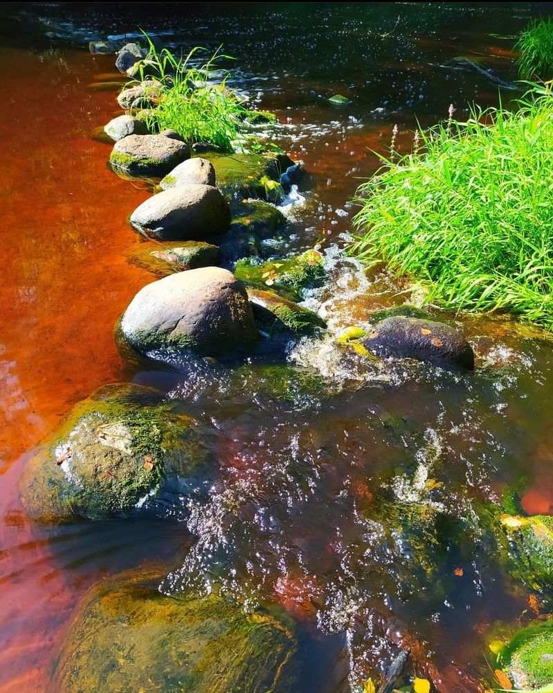 Photograph by Любовь Тарасова